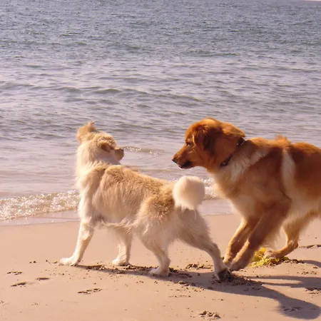 Guest house Haus Charlotte Auf Sylt, Strandnah